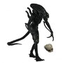 Чужой против Хищника - Alien VS Predator - фото